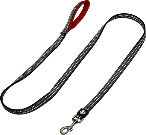 Franklin Pet Supply Nylon Dog Leash – Reflective – Comfort Fit – Neoprene Handle – 6 Foot – Dog Training – Walking – Black in Saudi Arabia