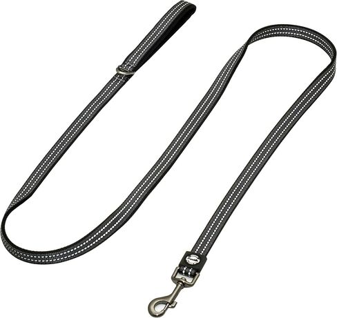 Franklin Pet Supply Nylon Dog Leash – Reflective – Comfort Fit – Neoprene Handle – 6 Foot – Dog Training – Walking – Black in Saudi Arabia