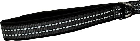Franklin Pet Supply Nylon Dog Leash – Reflective – Comfort Fit – Neoprene Handle – 6 Foot – Dog Training – Walking – Black in Saudi Arabia