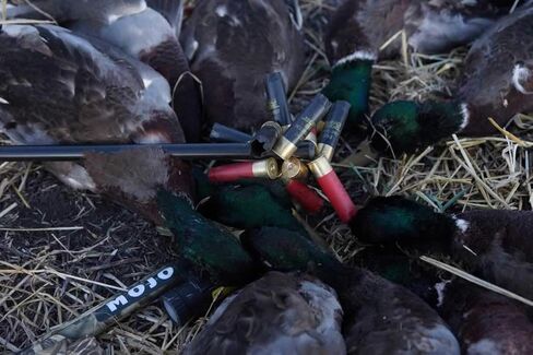 موجو في الهواء الطلق قابلة للطي جيب اختيار عصا المحمولة بندقية شل بدن المسترد أداة لاقط المغناطيسي in Kuwait