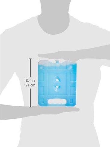 Amazon Basics Reusable Hard Sided Rectangular Ice Pack, Pack of 4, Medium, Blue, 8.3" X 6.7" X 1.2" in Saudi Arabia