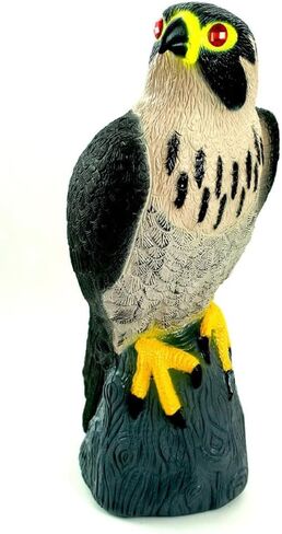 Bird-X Falcon Predator Decoy Bird Scary in Kuwait