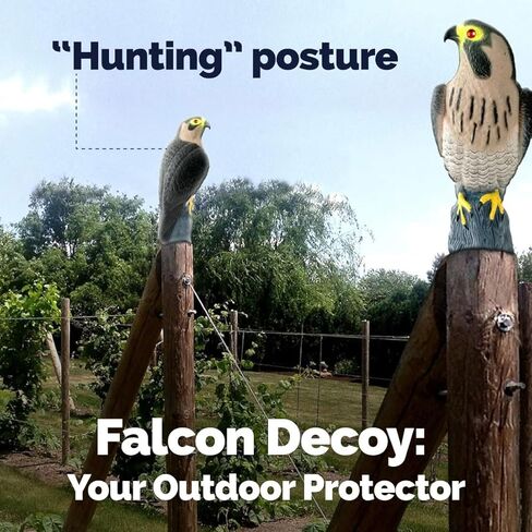 Bird-X Falcon Predator Decoy Bird Scary in Kuwait