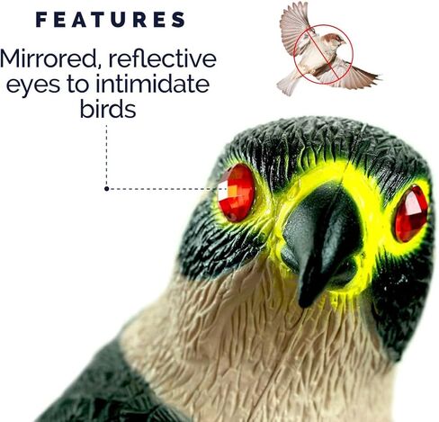 Bird-X Falcon Predator Decoy Bird Scary in Kuwait