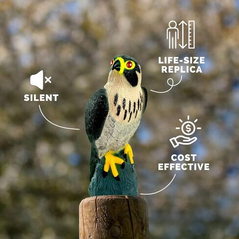 Bird-X Falcon Predator Decoy Bird Scary in Kuwait