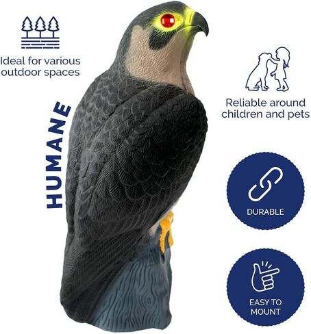 Bird-X Falcon Predator Decoy Bird Scary in Kuwait