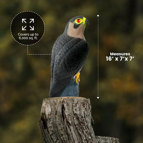 Bird-X Falcon Predator Decoy Bird Scary in Kuwait