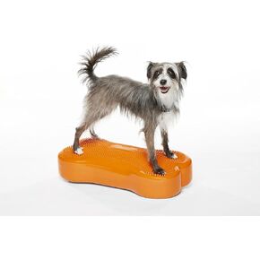 FitPaws® K9FITbone® - Regular, Orange | Dog Balance Training Platform & Exercise Equipment | Workout Tool for Strength, Core & Stability