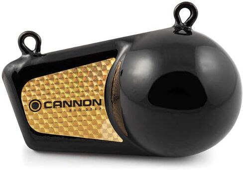 Cannon 2295002 Flash Weight, 4-Pound in Saudi Arabia