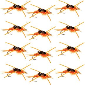 The Fly Fishing Place Bead Head Nymph Fly Fishing Flies - Kaufmann's Golden Stone Fly with Rubber Legs - Stonefly Wet Fly - 12 Flies Hook Size 6