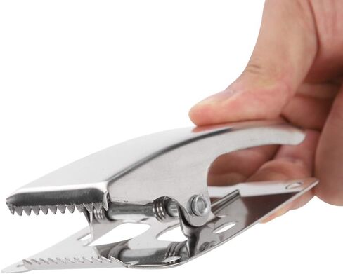 Vbest life Fish Fillet Clamp,Fishing Clamp Board Stainless Steel Fish Fillet Clamp Tail Clip with Mounting Screws for Cleaning Board in Saudi Arabia