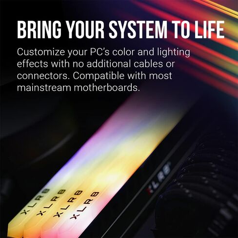 بي إن واي XLR8 Gaming REV RGB 32 جيجابايت (2 × 16 جيجابايت) DDR4 3600 ميجاهرتز (PC4-28800) in Saudi Arabia
