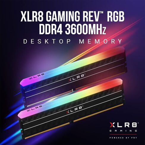 بي إن واي XLR8 Gaming REV RGB 32 جيجابايت (2 × 16 جيجابايت) DDR4 3600 ميجاهرتز (PC4-28800) in Saudi Arabia