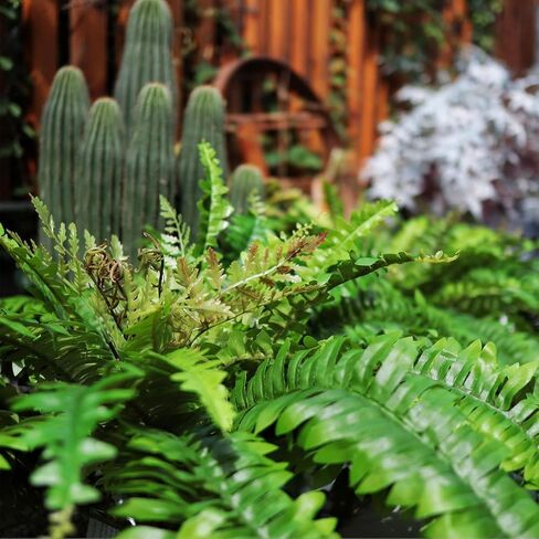 Galebeiren Artificial Ferns for Outdoors & Indoors, 40in Large Faux Ferns 39 Fronds Fake Boston Fern Plant for Planter Garden Porch Entrance Home Windowsill Yards Farmhouse Decoraction (1 Stem) in Saudi Arabia