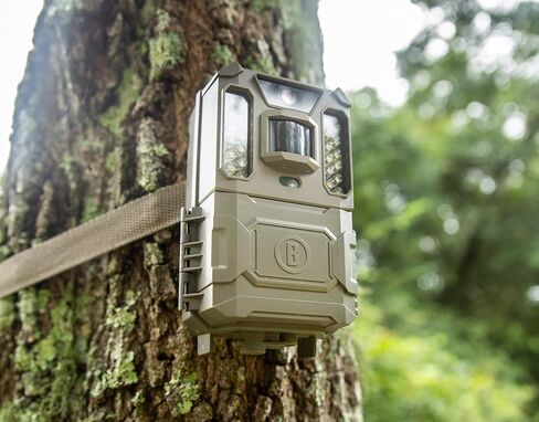 مجموعة كاميرا Bushnell من Primos Prime Trail بدقة 24 ميجابكسل LowGlow مع نطاق ليلي 80 بوصة باللون البني 119932CB in Kuwait