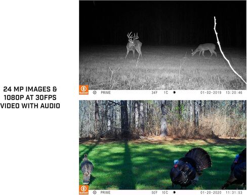 مجموعة كاميرا Bushnell من Primos Prime Trail بدقة 24 ميجابكسل LowGlow مع نطاق ليلي 80 بوصة باللون البني 119932CB in Kuwait