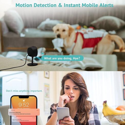 كاميرا LaView الأمنية بدقة 2K، كاميرات رؤية ليلية واضحة لأمن المنزل في الداخل، متوافقة مع Alexa، كشف الحركة، صوت ثنائي الاتجاه، تخزين سحابي/فتحة SD in Kuwait