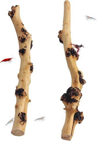 Hamiledyi Aquarium Driftwood Branches,Natural Forest Branches Assorted Size Tree Trunks Aquarium Wood Decor Fish Tank Terrarium Decoration (4 Pcs) in Saudi Arabia
