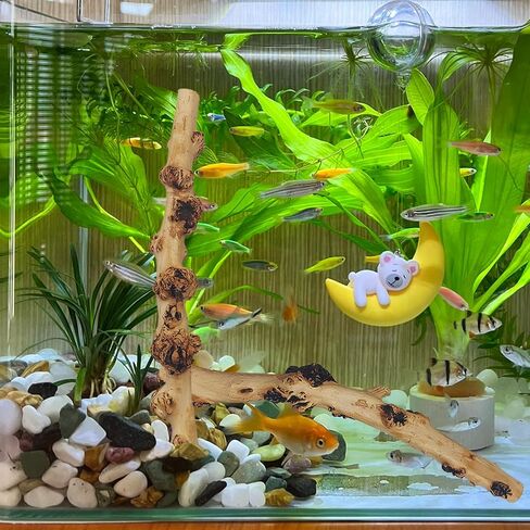 Hamiledyi Aquarium Driftwood Branches,Natural Forest Branches Assorted Size Tree Trunks Aquarium Wood Decor Fish Tank Terrarium Decoration (4 Pcs) in Saudi Arabia