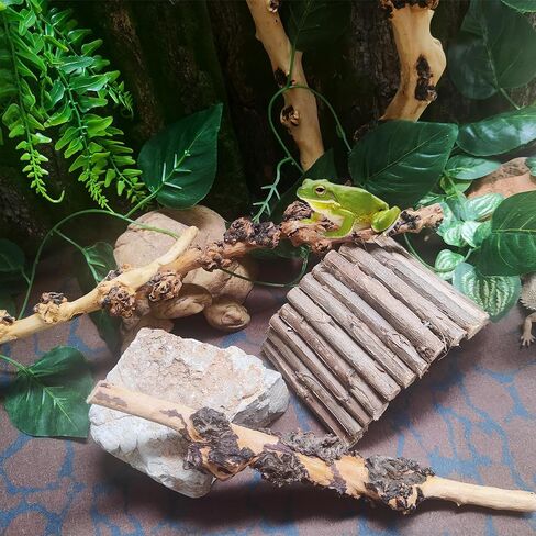 Hamiledyi Aquarium Driftwood Branches,Natural Forest Branches Assorted Size Tree Trunks Aquarium Wood Decor Fish Tank Terrarium Decoration (4 Pcs) in Saudi Arabia