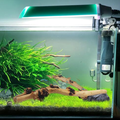 Hamiledyi Aquarium Driftwood Branches,Natural Forest Branches Assorted Size Tree Trunks Aquarium Wood Decor Fish Tank Terrarium Decoration (4 Pcs) in Saudi Arabia