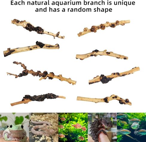 Hamiledyi Aquarium Driftwood Branches,Natural Forest Branches Assorted Size Tree Trunks Aquarium Wood Decor Fish Tank Terrarium Decoration (4 Pcs) in Saudi Arabia
