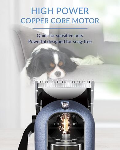 Dog Clippers for Grooming with 12V High Power Plug-in for Thick Heavy Coats Quiet, Pet Electric Professional Hair Grooming Clippers kit with 10 Metal Guard Combs Brush for Dogs Cats Animals Gold in Saudi Arabia