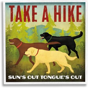 Stupell Industries Hiking Dogs Phrase Gray Framed Giclee Art Design by Ryan Fowler