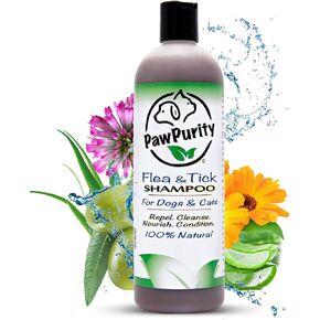 شامبو PawPurity للبراغيث/القراد، مكونات نباتية طبيعية ومعدنية فقط، يحسن صحة جلد ومعطف الكلاب والقطط، رائحة الحمضيات، منتج صديق للبيئة وتغليف مصنوع في الولايات المتحدة الأمريكية (8 أونصة) in Kuwait