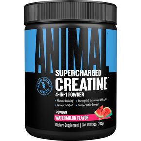 Animal Creatine XL Powder – Enhanced Creatine Monohydrate Supplement Plus Betaine Anhydrous, PurpleForce & Senactiv – Delay Muscle Fatigue, Enhance Endurance, Improve Recovery – Watermelon, 9.84 oz