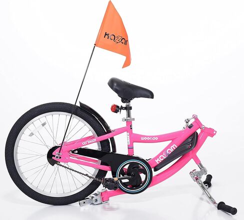 KaZAM Co-Pilot Bike in Saudi Arabia