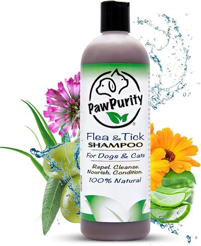 شامبو PawPurity للبراغيث/القراد، مكونات نباتية طبيعية ومعدنية فقط، يحسن صحة جلد ومعطف الكلاب والقطط، رائحة الحمضيات، منتج صديق للبيئة وتغليف مصنوع في الولايات المتحدة الأمريكية (8 أونصة) in Kuwait