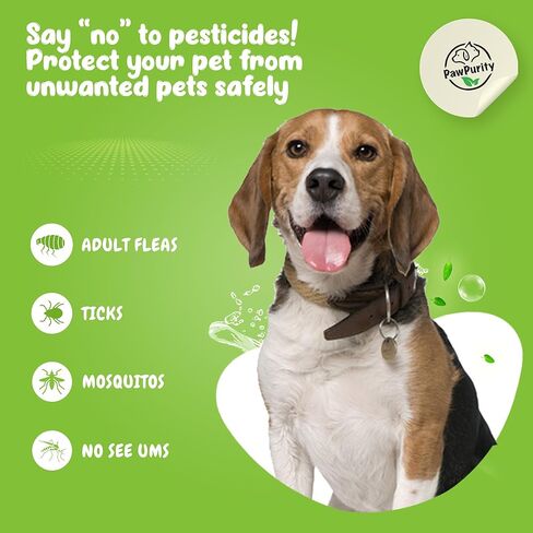 شامبو PawPurity للبراغيث/القراد، مكونات نباتية طبيعية ومعدنية فقط، يحسن صحة جلد ومعطف الكلاب والقطط، رائحة الحمضيات، منتج صديق للبيئة وتغليف مصنوع في الولايات المتحدة الأمريكية (8 أونصة) in Kuwait