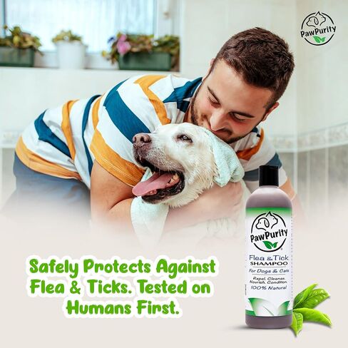 شامبو PawPurity للبراغيث/القراد، مكونات نباتية طبيعية ومعدنية فقط، يحسن صحة جلد ومعطف الكلاب والقطط، رائحة الحمضيات، منتج صديق للبيئة وتغليف مصنوع في الولايات المتحدة الأمريكية (8 أونصة) in Kuwait