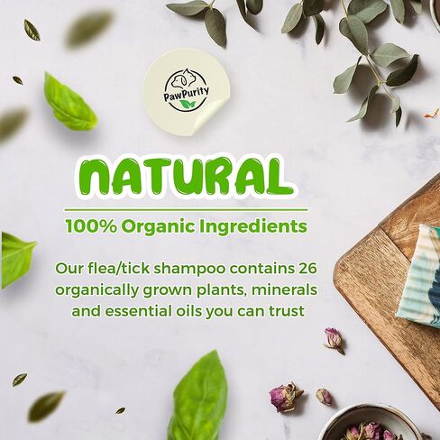 شامبو PawPurity للبراغيث/القراد، مكونات نباتية طبيعية ومعدنية فقط، يحسن صحة جلد ومعطف الكلاب والقطط، رائحة الحمضيات، منتج صديق للبيئة وتغليف مصنوع في الولايات المتحدة الأمريكية (8 أونصة) in Kuwait