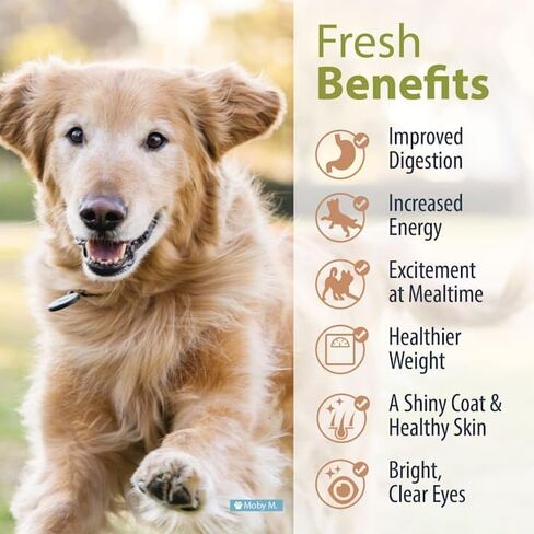 طعام الكلاب الطازج المجمد من JustFoodForDogs للمعدة الحساسة، وجبة كاملة أو طعام للكلاب، علاج متوازن، 18 أونصة (عبوة من 7) in Saudi Arabia