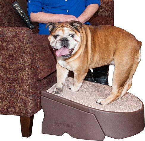 Pet Gear Stramp Stair and Ramp Combination for Dogs/Cats, Easy Step, Lightweight/Portable, Sturdy, Easy Assembly (No Tools Required) 2 Models, 3 Colors in Saudi Arabia