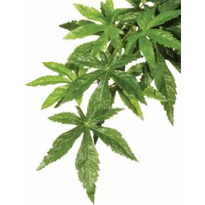 Exo Terra Silk Terrarium Plant, Large, Abutilon