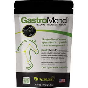 GastroMend Gastrointestinal Health Supplement for Horses, 100% Natural, Promotes Stomach and Gut Health in Equines, Cost-Effective Digestive Wellness, 30 Servings per Pouch, Made in the USA