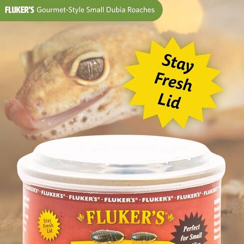 Fluker's Gourmet Canned Food for Reptiles, Fish, Birds and Small Animals - Dubia Roaches, 1.2oz in Kuwait