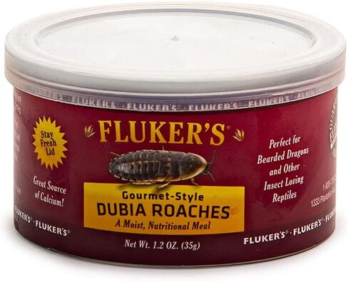 Fluker's Gourmet Canned Food for Reptiles, Fish, Birds and Small Animals - Dubia Roaches, 1.2oz in Kuwait