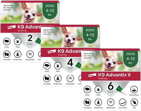 K9 Advantix II Small Dog Vet-Recommended Flea, Tick & Mosquito Treatment & Prevention | Dogs 4-10 lbs. | 6-Mo Supply in Saudi Arabia