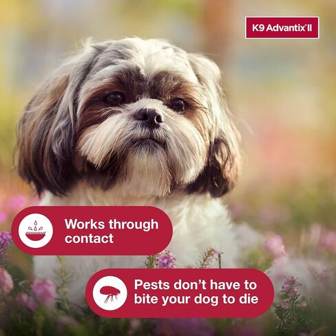 K9 Advantix II Small Dog Vet-Recommended Flea, Tick & Mosquito Treatment & Prevention | Dogs 4-10 lbs. | 6-Mo Supply in Saudi Arabia