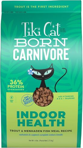 Tiki Cat Born Carnivore High Protein Indoor Health Non-GMO Dry Cat Food, Trout and Menhaden Fish Meal Recipe 3 lbs. Bag in Kuwait