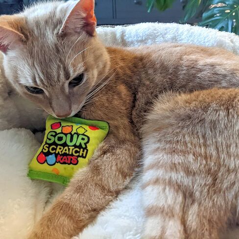 Huxley & Kent H&K Cat Toy | Pizza | Plush Cat Toy with Catnip Inside | Funny Realistic Cat Gift | Fun, Durable, and Safe Cat Toys in Kuwait