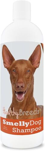 Healthy Breeds Boxer Smelly Dog Baking Soda Shampoo 8 oz in Kuwait