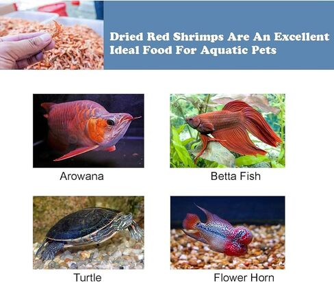 Amzey Dried Large Red Shrimp 198 Grams - Sun Dried 7 oz- Aquatic Turtle Food, Betta Fish Food, Tropical Fish Food, Crab Food, Reptile Food, Aquatic Fish Foods, Aquatic Pets Food in Saudi Arabia