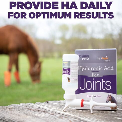 Hyalogic Hyaluronic Acid for Horses 30 Day Supply for Joint Health - Easy Oral Tip Dispenser - Liquid HA for Equine Joints & Cartilage Support Supplement - Hyalun Pro Equine Supplies - 3 oz / 90 ml in Saudi Arabia