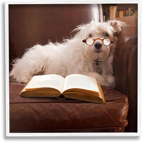 Stupell Industries White Dog Reading Book Gray Framed Giclee Art Design by Michael Quackenbush in Saudi Arabia