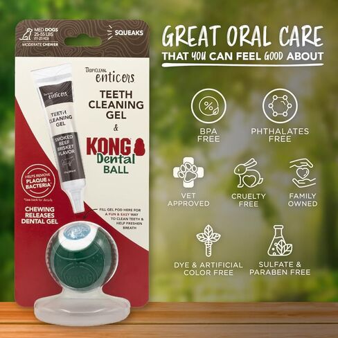 TropiClean Enticers Kong Dental Ball Kit for Large Dogs | Teeth Cleaning Gel | Smoked Beef Brisket Flavor | 1 oz. in Kuwait